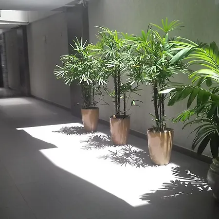 Mediterraneo Hotel-2