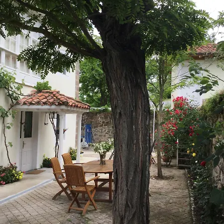 Villa Elena-3