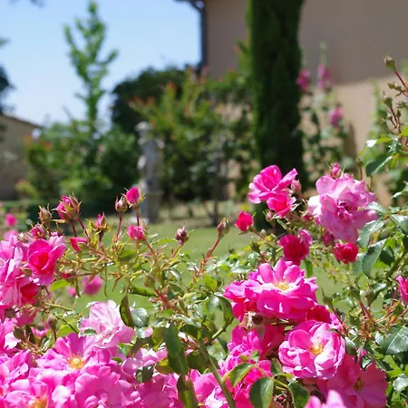 Hôtel La Bastide d'Iris-2