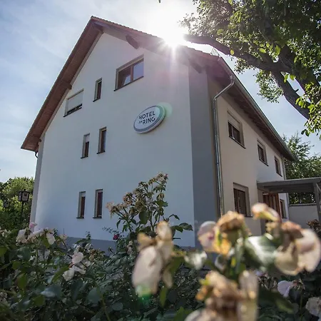 Hotel am Ring-3