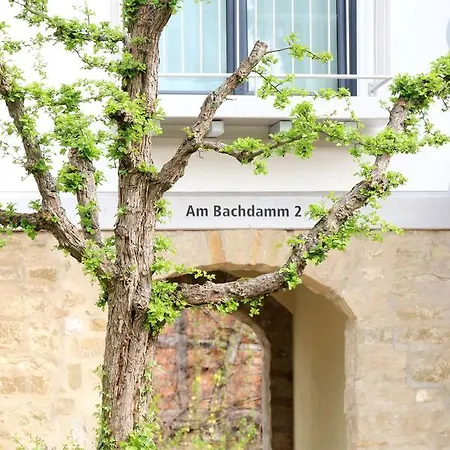 Alte Stadtmauer - Apartment-2