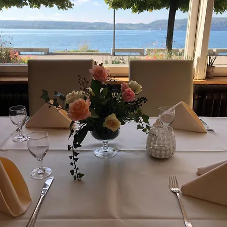 Hotel Seegarten-3