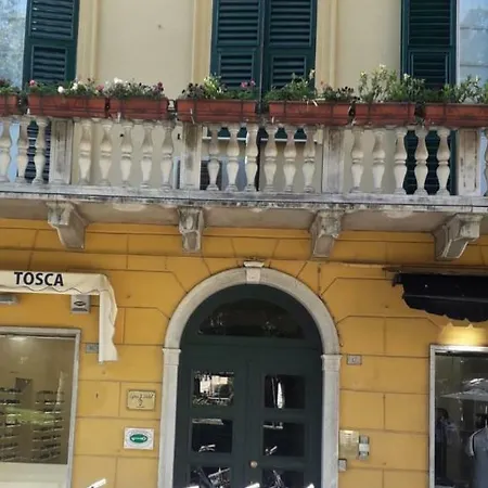 Dora Aurea-2