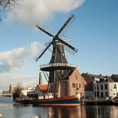 Bed&Breakfast Frans Hals Haarlem-2