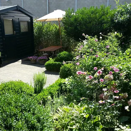 Bed&Breakfast Frans Hals Haarlem-3