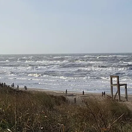 Near The Beach-3