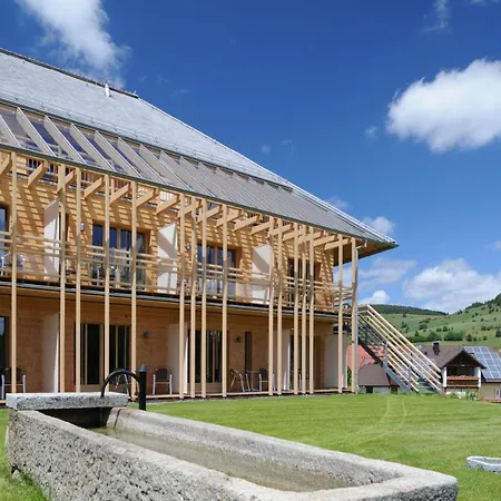 Natur&Wellnesshotel Breggers Schwanen - Bernau im Schwarzwald-2