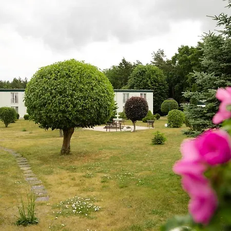 Hotel Waldidyll-3
