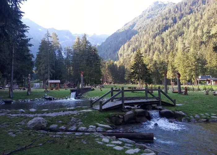 Hotel Pineta