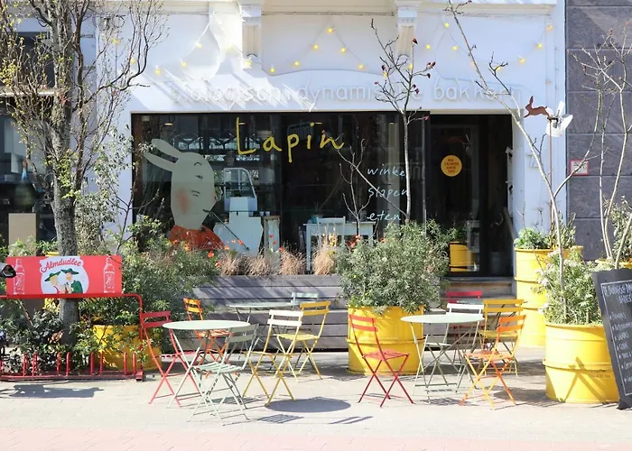 Logies Lapin Bed and Breakfast Antwerpen