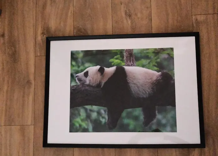 A 4 min du Zoo de Beauval La Maison à Partager Ch2 1er étage Saint-Aignan 