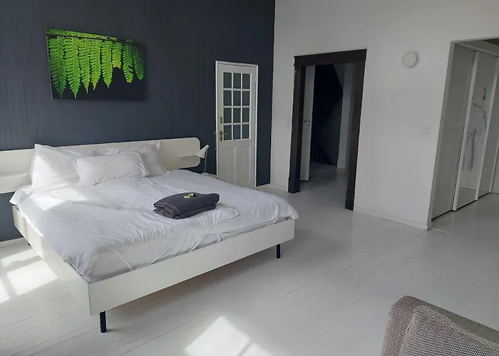 Bed & Breakfast In Monumental House Maastricht Centre