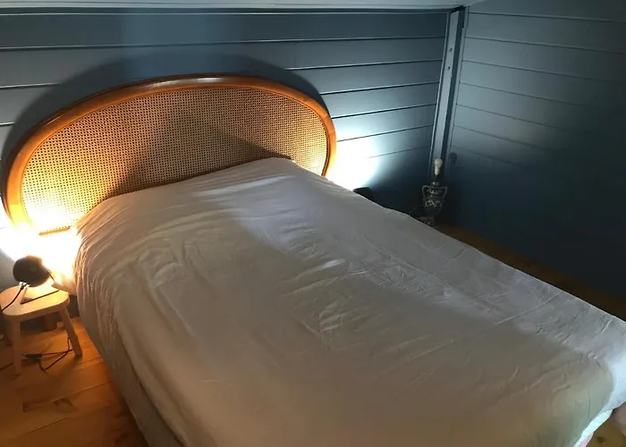 Hôtel Sous le figuier à Biscarrosse