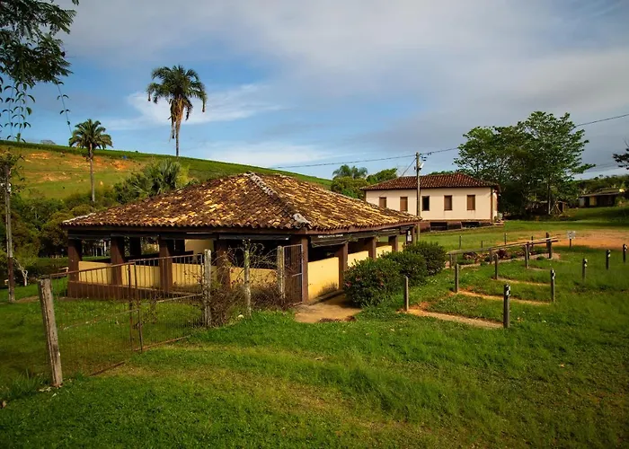 Garça Branca