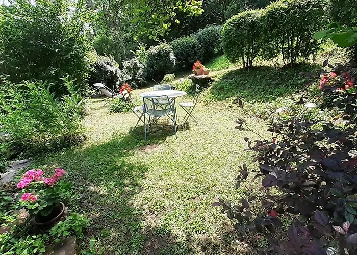Charme et jardin cœur St Cirq - Appartements