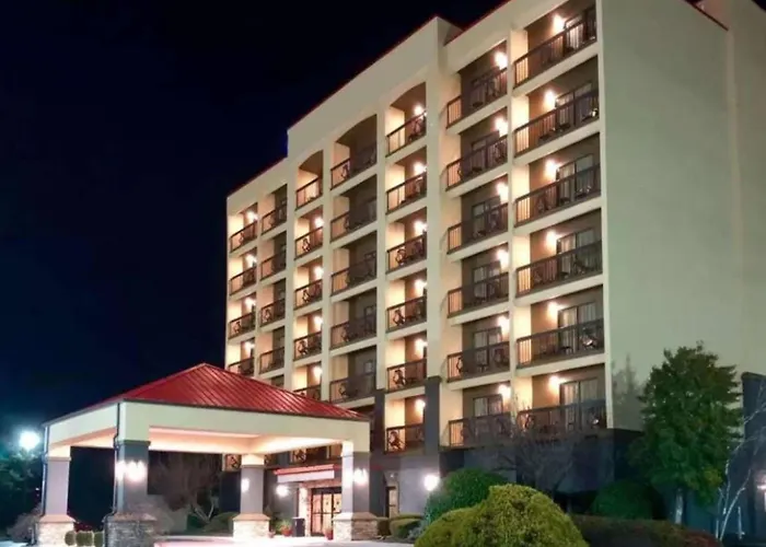 Vista Suites Near Island And Leconte Convention Center