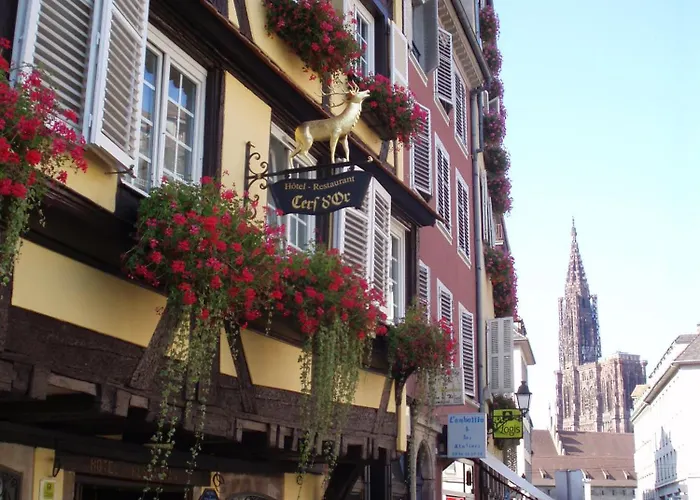 Logis Hotel Restaurant Au Cerf D'Or Straatsburg