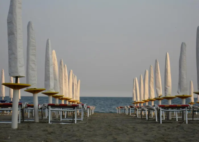 International Hotel Cavallino-Treporti
