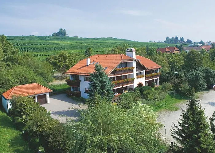 Hotel Alpina