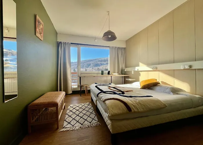Hotel Perdrix Super-Besse