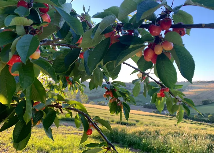 Agriturismo La Corte