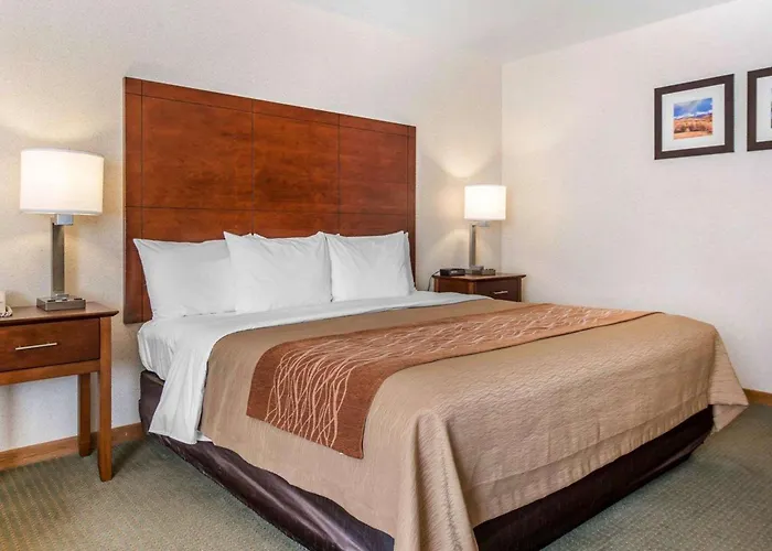 Comfort Inn Salida