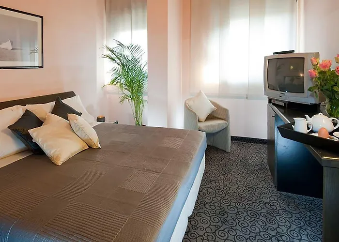 Hotel Comtur Binasco