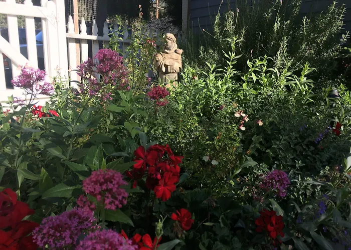 Olallieberry Inn Bed And Breakfast