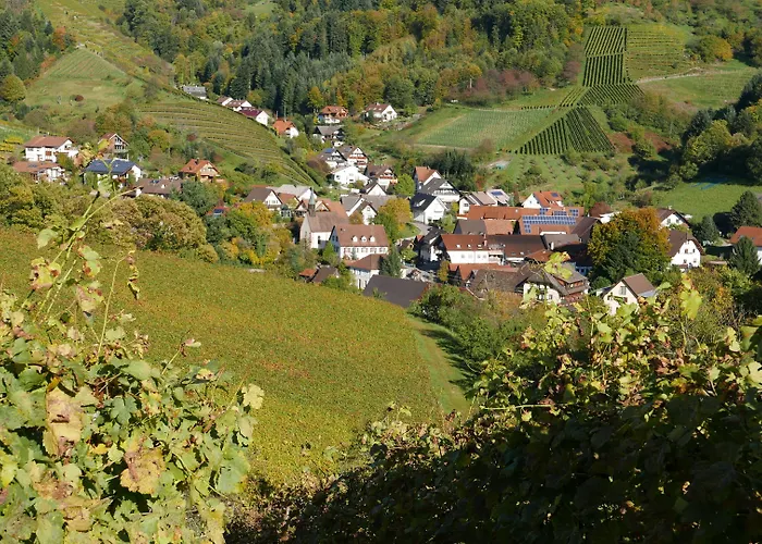 Landhotel Salmen Oberkirch 