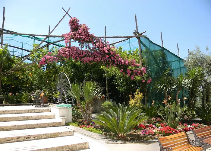 Oasi Madre Della Pace Bed and Breakfast Sorrento