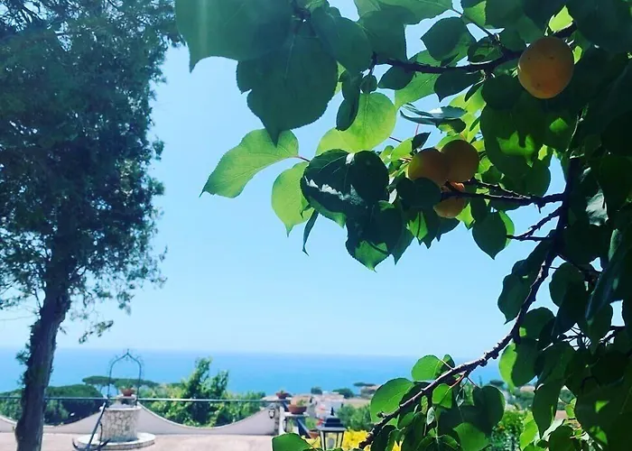Gli archi sul mare