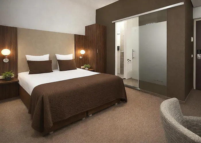 Hotel La Reine