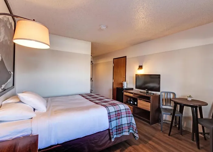 Loyal Duke Lodge Salida