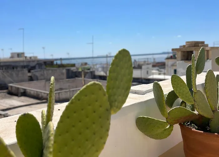 B&B Dimora San Vincenzo