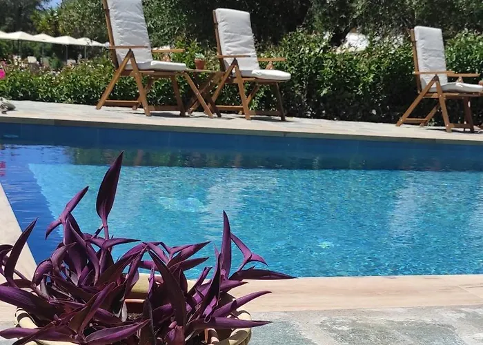 Donatos Parga - Apartments & Studios