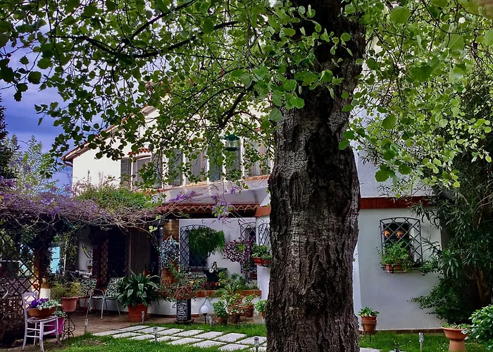Hotel La Bricola Cavallino-Treporti