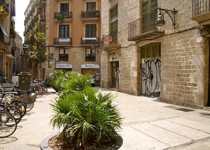 Hostal Nitzs Bcn Barcelone