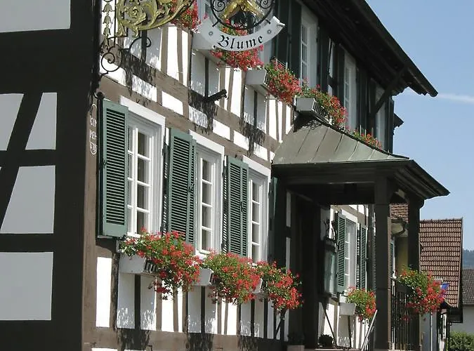 Gasthof Blume Offenburg