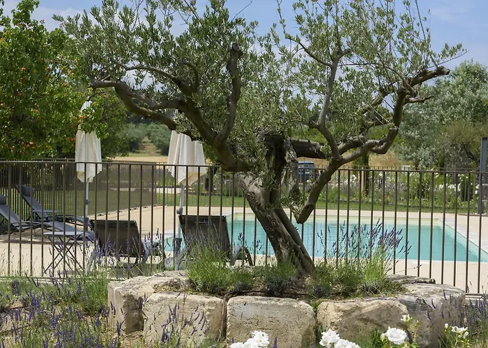 Aparthotel Domaine du Mas Foucray à Les Baux-de-Provence