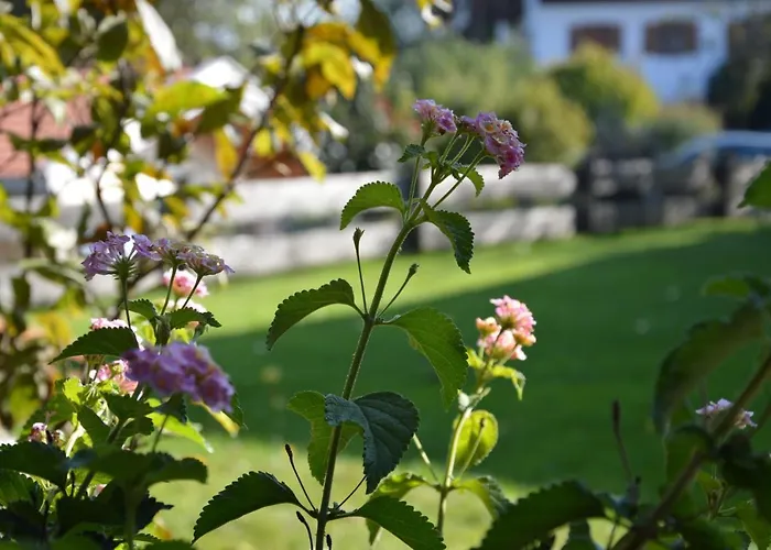 Pension Willibald