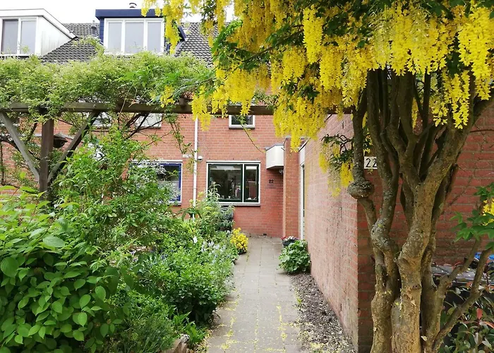 Homestay Utrecht